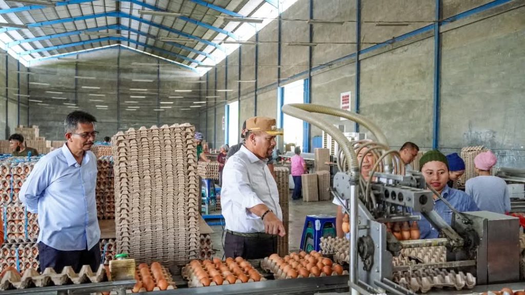 Berkunjung Ke Peternak, Bupati Batubara Bakal Kembangkan Ayam Petelur Di Batubara